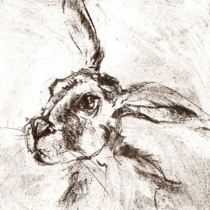 Hare