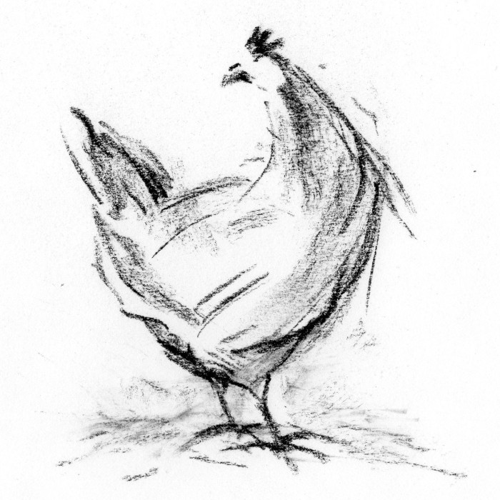 Hen